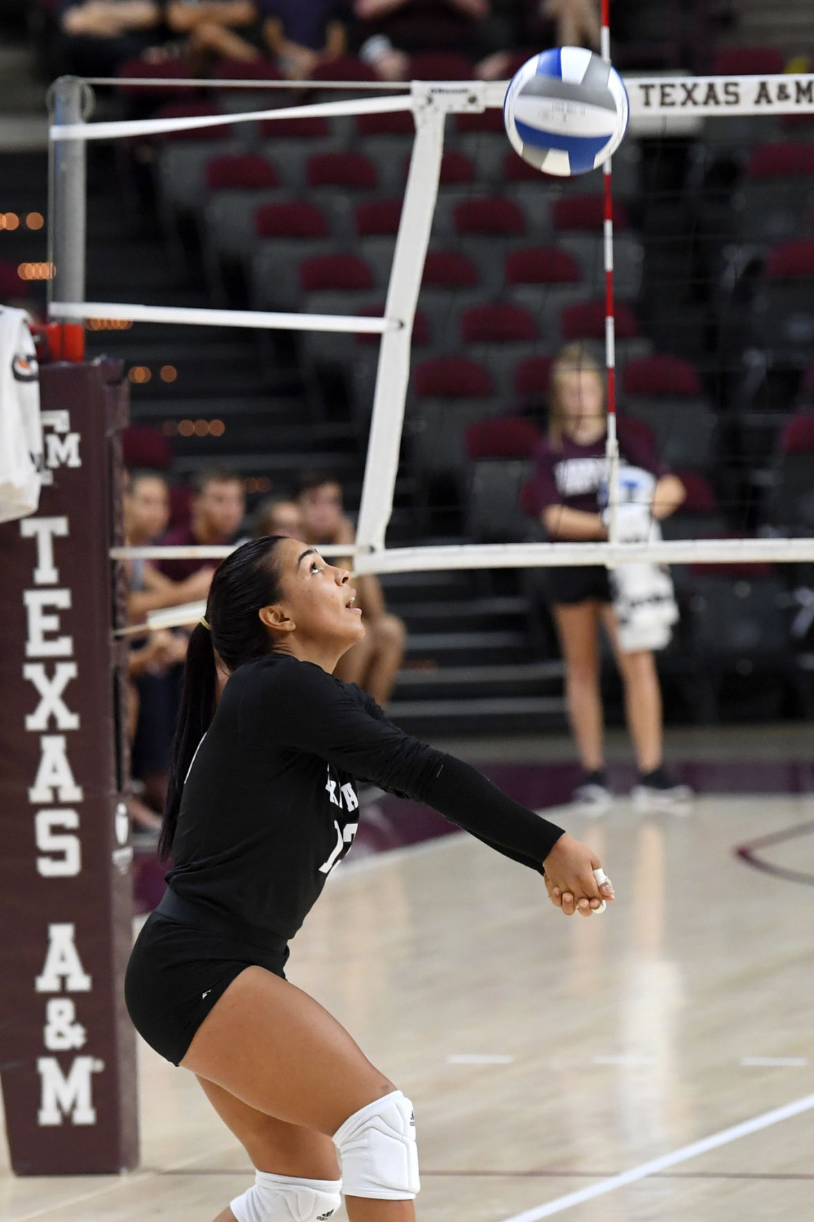 Texas A&M vs. Baylor volleyball